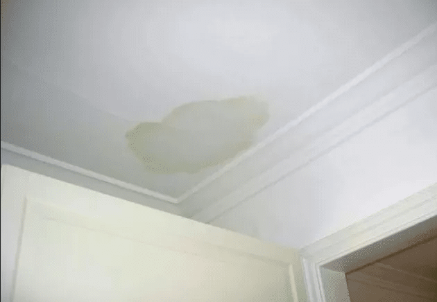 Ceilings and Walls