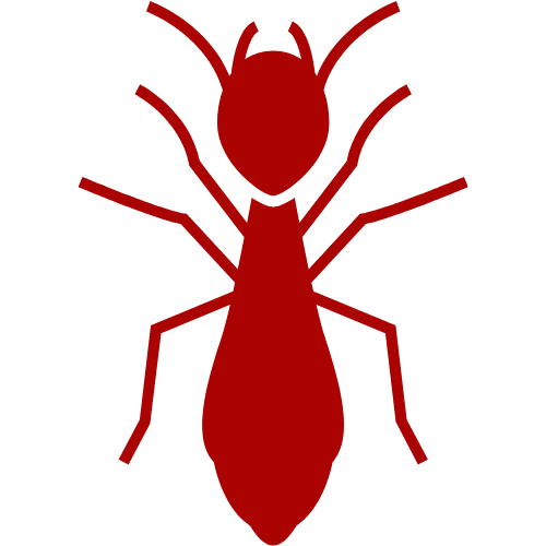 Termite